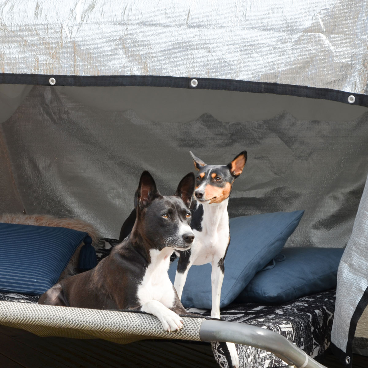 4x4 m Alu Schattennetz Auto Abdeckung - Hitzeschutz Hund - Sonnensegel  Camping, Schattennetze, Sonnensegel, Garten